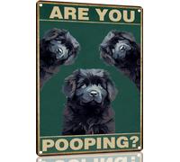 Terre-Neuve « Est-Ce Que Tu Fais Caca » Affiche Tin Sign Funny Plaque Publicitaire Rétro Plaque En Métal Pour Farm Home Jardin 20X30 Cm