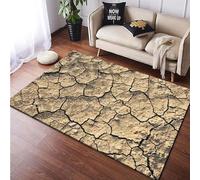 Terre Sèche Tapis 3D Rectangulaire Antidérapant pour Salon, Chambre À Coucher, Yoga, Chambre De Bébé, Enfants 140 X 200 Cm - Polyester Doux Au Toucher, Facile À Nettoyer -476847376660