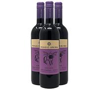 Terre Sicilliane Asmodeus - Rouge 2021 - Poggio Anima - Vin Rouge d'Italie (3x75cl)