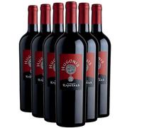 Terre Sicilliane Hugonis - Rouge 2021 - Tenuta Rapitala - Vin Rouge d'Italie (6x75cl)