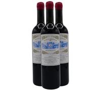 Terre Sicilliane Spinasanta - Rouge 2020 - Domaine Nicolo Grippaldi - Vin Rouge d'Italie (3x75cl)