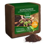 Terreau de coco Terreau de fibres de coco Pressé en bloc 5 kg