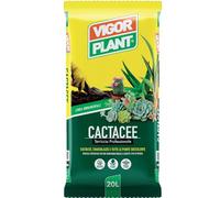 Terreau plantes succulentes 20 l