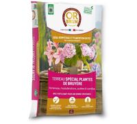 Or Brun Terreau Spécial Plantes De Bruyère - 6L - Meilleur Enracinement - Utilisable en Agriculture Biologique OBRTBRU6U