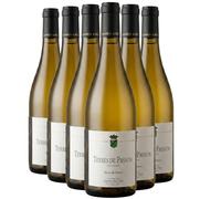 Terres de Passion Blanc de blancs- Blanc- Lamblin fils- Vin de France- VinBlanc(6x75cl)