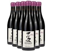 Terres d'Harmonie - Rouge 2023 - Divineo - Vin de France - Vin Rouge (6x75cl)