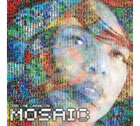 The Mosaic Project