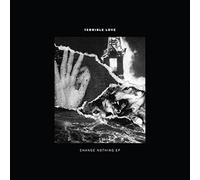 Terrible Love - Change Nothing