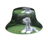 Terrier de Bedlington, Chiens drôles, Chiens à Fourrure, Animaux de Compagnie,Chapeau bob Adulte, Chapeau de Soleil, Casquette de Course réfléchissante de Nuit, Chapeau de pêcheur