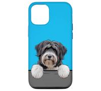 Terrier tibétain Mignon Amoureux des Chiens Coque pour iPhone 12/12 Pro