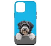 Terrier tibétain Mignon Amoureux des Chiens Coque pour iPhone 12 Mini