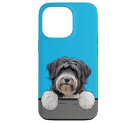 Terrier tibétain Mignon Amoureux des Chiens Coque pour iPhone 13 Pro