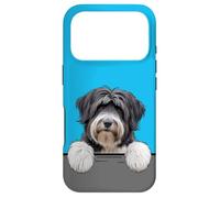 Terrier tibétain Mignon Amoureux des Chiens Coque pour iPhone 17 Pro