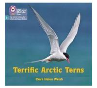 Terrific Arctic Terns by Clare Helen Welsh Clare Helen Welsh (Auteur)