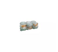 TERRINE Bocal en verre avec couvercle et caoutchouc 200gr - Les 6