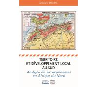 Territoire et développement local au Sud Analyse de six expériences en Afrique du Nord - Améziane Ferguene - Campus Ouvert - broché - Etude