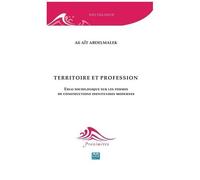 Territoire Et Profession - Essai Sociologique Sur Les Formes De Constructions Identitaires Modernes