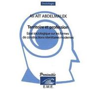 Territoire Et Profession - Essai Sociologique Sur Les Formes De Constructions Identitaires Modernes