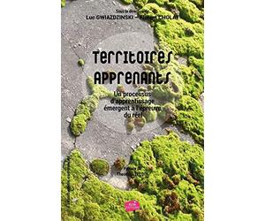 Territoires apprenants: Un processus d'apprentissage émergent à l'épreuve du réel