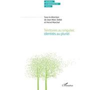 Territoires au singulier, identités au pluriel Jean-Marc Stébé (Auteur), Hervé Marchal (Auteur)