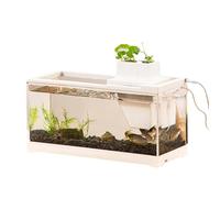 Terrou De Poisson De Bureau - Petit Aquarium Calme avec Léger Et Pompe | Conteneur De Table Basse Tension avec Corps À L'épreuve des Fuites, Grand -Habitat D'ouverture pour L'affichage De L'étagèr