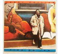 Terry Callier - Fire on Ice
