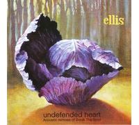 Terry Ellis - Undefeated Heart-Acoustic Remixes of Break The S