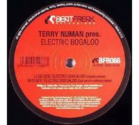 Terry Numan - Electric Boogaloo [Import]