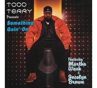 Terry, Todd - Something Goin on/in Your Soul