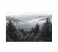 TERUEA Abstrait Image sur Toile Affiche Decoration Murale Tableau Decoration Murale Chambre Coucher Cuisine Forêt de Pins Montagne Brume (Noir et Blanc)-60x90cm1 Sans cadre