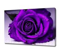 TERUEA Art Tableau mural à imprimé floral, Rose Violette Gouttes Eau Peinture aquarelle florale sur toile(Purple)-60x90cm1 Encadrée