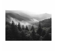 TERUEA Art Tableau mural Fleurs 1 Parties Impression sur Toile Intissee Decotation Salon Abstrait Paysage Forêt Montagne Brumeux Moderne Impression sur Toile(Noir et Blanc)-30x45cm Sans cadre