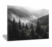 TERUEA Art Tableau mural Fleurs 1 Parties Impression sur Toile Intissee Decotation Salon Abstrait Paysage Forêt Montagne Brumeux Moderne Impression sur Toile(Noir et Blanc)-60x90cm Encadrée