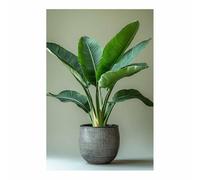 TERUEA décoration murale esthétique colorée pour salle de bain Oiseau de Paradis Vert Décor Tableau mural Fleurs Impression sur Toile Intissee Decotation Salon(Vert)-20x30cm Sans cadre