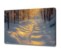 TERUEA Grande impression florale murale pour chambre, cuisine, salon Chemin Forêt Enneigé Hiver Soleil poster d'art mural moderne pour chambre à coucher(White)-40x60cm1 Encadrée