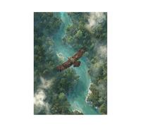 TERUEA Impression sur toile - Portrait d'animaux sauvages - Aigle Volant Vue Aérienne Forêt Verte Rivière Brume - Poster de décoration d'intérieur(Vert)-60x90cm Sans cadre