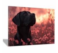 TERUEA Peintures colorées d'animaux sauvages, Labrador noir dans un champ de fleurs - Décoration murale - Impressions abstraites d'animaux pour le salon(Rouge)-80x120cm1 Encadrée