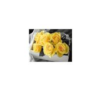TERUEA Poster animal mignon et jolies fleurs, Bouquet Rose Jaune Accent Noir Blanc -Nature-pour une décorationde salon(Yellow)-70x100cm1 Sans cadre