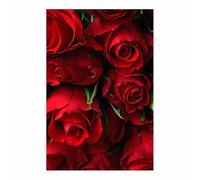 TERUEA Poster animal mignon et jolies fleurs, Bouquet Roses Rouges Gros Plan - Nature harmonieuse - pour une décoration élégante de salon(Rouge)-20x30cm1 Sans cadre