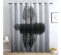 TERUEA Rideaux Occultant Île lacustre brumeuse Noir et Blanc avec Arbres Nus Rideaux De Fenêtre pour Chambre Cuisine Décoration-H180 x L100 cm (2 Panneaux)