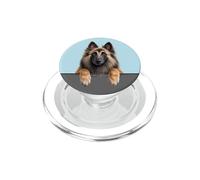 Tervuren Belge Mignon Amoureux des Chiens Terv PopSockets PopGrip pour MagSafe