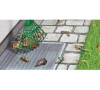 tesa Insect stop Grille pour puit de lumière 1 pc(s)