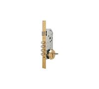 Tesa R200B5SCL Serrure de Sécurité Monopoint pour Portes en Bois, Finition Laitonnée, Entrée 50 mm, sans Cylindre, Rosace E700L, Gâche et Fixations Incluses