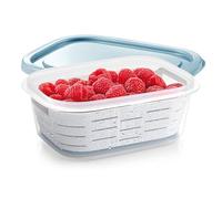 Tescoma 896940 Conteneur congélateur avec panier à glace 4FOOD 1.0 l