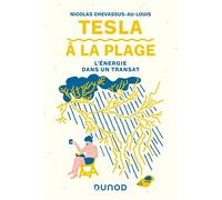Tesla à la plage L'énergie dans un transat - Nicolas Chevassus-Au-Louis - Dunod - broché - Etude