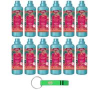 Tesori d'Oriente Ayurveda Lot de 12 flacons d'adoucissant concentré à l'huile d'amla et au patchouli 38 lavages 760 ml + porte-clés Beni Culinari