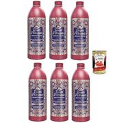 Tesori d'Oriente - Bain crème « Persian Dream » - Soin corporel aromatique à la grenade et au thé Rooibos - Rituels de bien-être pour le corps et les sens - 500 ml