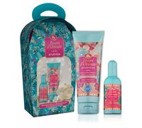 Tesori d'Oriente Idée cadeau Ayurveda avec crème douche de 250 ml et parfum parfum 100 ml avec éponge, parfum frais et floral, notes d'Amla et patchouli