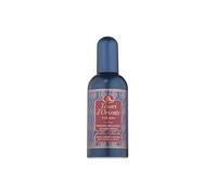 Tesori d'Oriente - Pour Hommes, Parfum Aromatique, Ebenwood et Ginseng, Parfum frais et boisé, 100 ml