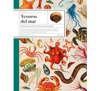 Tesoros del mar: Celebración de la belleza sumergida
